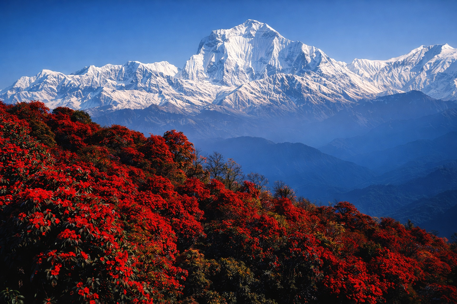 Ghorepani – Poon Hill Treks